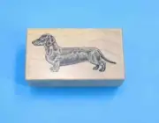 Dachshund Wiener Dog Rubber Stamp PSX E-443 Puppy Doggie NEW