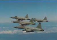 在飛比找Yahoo!奇摩拍賣優惠-[亞瑟小舖]中華民國空軍F-5E戰機巡邏雄姿明信片1張,上品