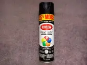 15oz Krylon ColorMaster Paint Primer Bonus Matte Black