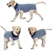 Dog Recovery Suit Cats Bodysuits for Abdominal Wounds Recovery Shirt for Male Female Pet Surgical Snugly Suit After Surgery Anti-Licking Dog Onesies (Blue Stripe, M)