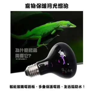 【YOYO 悠悠水族】爬蟲月光燈泡_25W(兩棲爬蟲、爬蟲用品、陸龜用品、鸚鵡用品、寵物保溫、加熱燈)