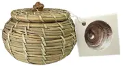 KUMEYAAY Kumiay Diegueno CA Lidded Mission Mini BASKET Ma. Eugenia Meza Vaquero