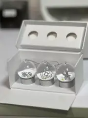 CHANEL Mini Snow Globe 2024 VIP GIFT CHRISTMAS NEW & AUTHENTIC