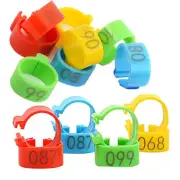 PIGEON BIRD CHICKEN POULTRY HQ PLASTIC LEG RINGS NUMBERED 1-100 BANDS - 100 PACK