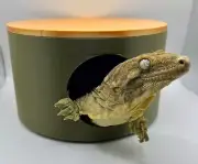Circle Reptile Hide
