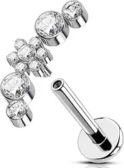 [OUFER] 16G Flower Titanium G23 Conch Ring Internal Thread Curved Helix Earring Clear CZ Cartilage Ear Piercing for Women 8 mm Lip Stud