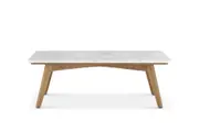 Seb Rectangular Marble Coffee Table