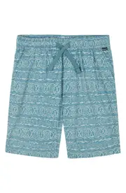 Quiksilver Kids' Taxer Shorts in Larkspur at Nordstrom