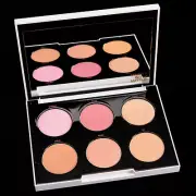 Urban Decay Gwen Stefani Blush Palette LE NIB!