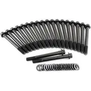Aeroflow Ford Cleveland Head Bolt Kit 302 351C 12 Point - AF37-2120