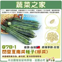 在飛比找樂天市場購物網優惠-【蔬菜之家】G78-1.閃靈夏南瓜種子1顆(櫛瓜) F1 (