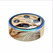 Skin Decal for Amazon Echo Dot 2 (2nd generation) / Cat lomo style