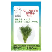 在飛比找momo購物網優惠-【蔬菜工坊】F07-1.月香小茴香菜種子22克-約13000