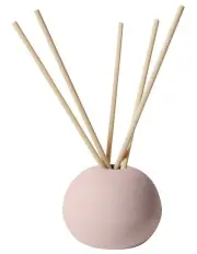 [Robert Gordon] Life On Earth Acorn Diffuser with Vanilla Scented Sticks in Crepe