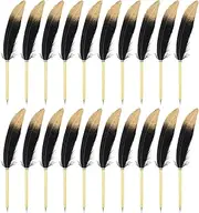 uxcell 20 Pcs Feather Ballpoint Pens Bulk 0.5mm Ink Vintage Plated Rod Quill Writing Pens for Office, Wedding Guest Signature, Black