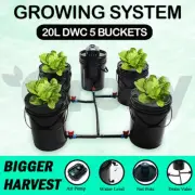HYDROPONICS 5 POTS 20L DWC COMPLETED SYSTEM ROOTS GROW BUCKET DEEP WATER CULTURE