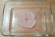 White Wine Vinegar Mother Scoby Starter, Mother of Vinegar