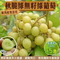 在飛比找momo購物網優惠-【WANG 蔬果】澳洲秋脆綠無籽綠葡萄500gx5盒(500