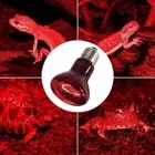 E27 Heating Lamp Light Bulb Heat Reptile Bulb Amphibian Snake Reptile New O1P9