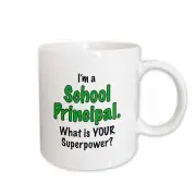 3dRose Im a school principal what is your superpower. Green. Mug