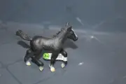 Schleich LIPIZZANER FOAL Black Baby Horse #13294 Retired New Free Shipping