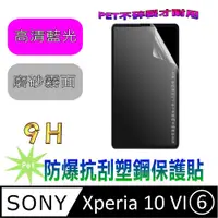 在飛比找PChome24h購物優惠-[Pet Sony Xperia 10 VIあ 防爆抗刮塑鋼