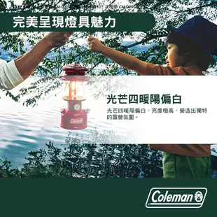 Coleman 單燈燈蕊 CM-0020 北極星燈蕊 CM-0095 雙燈燈蕊 CM-021J 露營