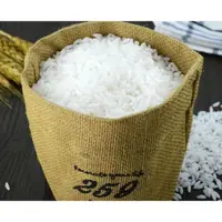 在飛比找蝦皮購物優惠-Yang832#精品仿真米粒米飯大米飯粒模型 假食品道具20