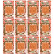 12X Jintan Nude Capsule Sugar Free Fresh Breath Mint Japan Grapefruit Candy