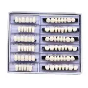 168pcs/box Dental Denture 23# Shade A2 Acrylic Resin Teeth Full Set Upper Lower
