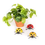 4x Hanging Ladybug w/ Hook Small Outdoor Ornament Yard/Patio Garden Decor Assort