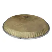 Conga, Symmetry, 12.50, Low Collar, D1 Skyndeep, Calfskin Graphic Drum Head