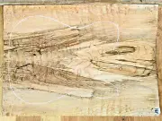Flame Spalted Maple Wood 1164 Luthier Electric Guitar Top Set 22x 16 x .75