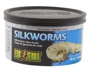 Exo Terra Medium 34 gram Wild Silkworms Reptile Lizard Food ExoTerra