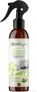 ECOLogic Eucalyptus Mint Room Air Freshener 125ml