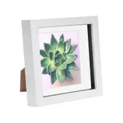 Nicola Spring 6 x 6 3D Shadow Box Photo Frame - Craft Display Picture Frame with 4 x 4 Mount - Glass Aperture - White