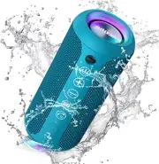 Portable Bluetooth Speaker, Wireless, IPX7 Waterproof & Dustproof, 30H Playtime,