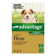 Bayer Advantage Dog 0-4kgs Small 4 & 6 Pack Flea Tick Treatment Canine Spot On