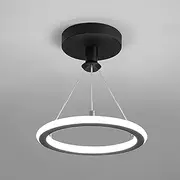 ZLGUBAY Small Modern Led Ceiling Lights, 19W Creative Metal Round Near Ceiling, Hanging Light Fixture For Kitchen, Island, Dining Room, Living Room, Entrance Hall