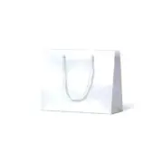 Gloss Laminated Paper Bag White Emerald / Small Carton of 200