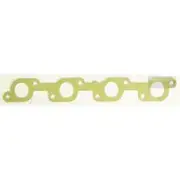 Platinum Extractor Gasket - HSM52