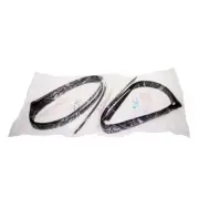 01-08 Honda Fit 5D GD1 GD2 GD3 Honda Jazz RR Weatherstrip Glass Run Channel Pair