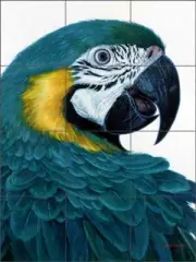 Macaw Tile Mural Jack White Tropical Art Ceramic Backsplash JWA011