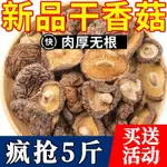 【小食糖】深山優選香菇新鮮正宗菌香菇小香菇蘑菇冬菇菌菇煲湯無熏硫擺件