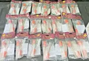 42pcs JJ Keller High Security Bolt Seal Container Lock C TPAT Compliant 684-MP