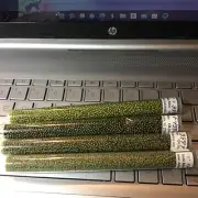 NEW Studio Baboo SEED BEADS 4 tubes of Olive Drab 2" x 6" tubes (4)