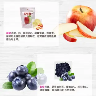 韓國 米餅村 水果脆片 天然果乾 無添加 鮮果餅乾 副食品 水果凍乾 Ssalgwaja 水果乾 9497