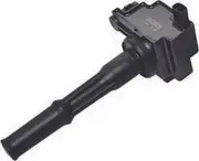 Goss Ignition Coil C305