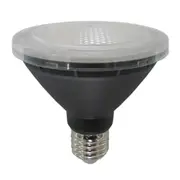 10w LED E27 Par30 Globe Daylight 5000k PL-PAR3001