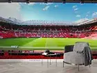 3D Football field Wallpaper Wall Mural Removable Self-adhesive 174